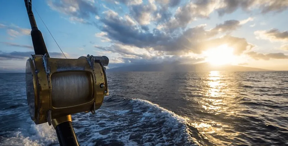 Ocean fishing sunset